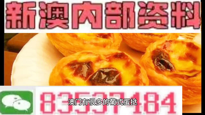 探索未來(lái)，2025新澳最新版精準(zhǔn)特色解析，探索未來(lái)，揭秘新澳最新版精準(zhǔn)特色解析（2025版）