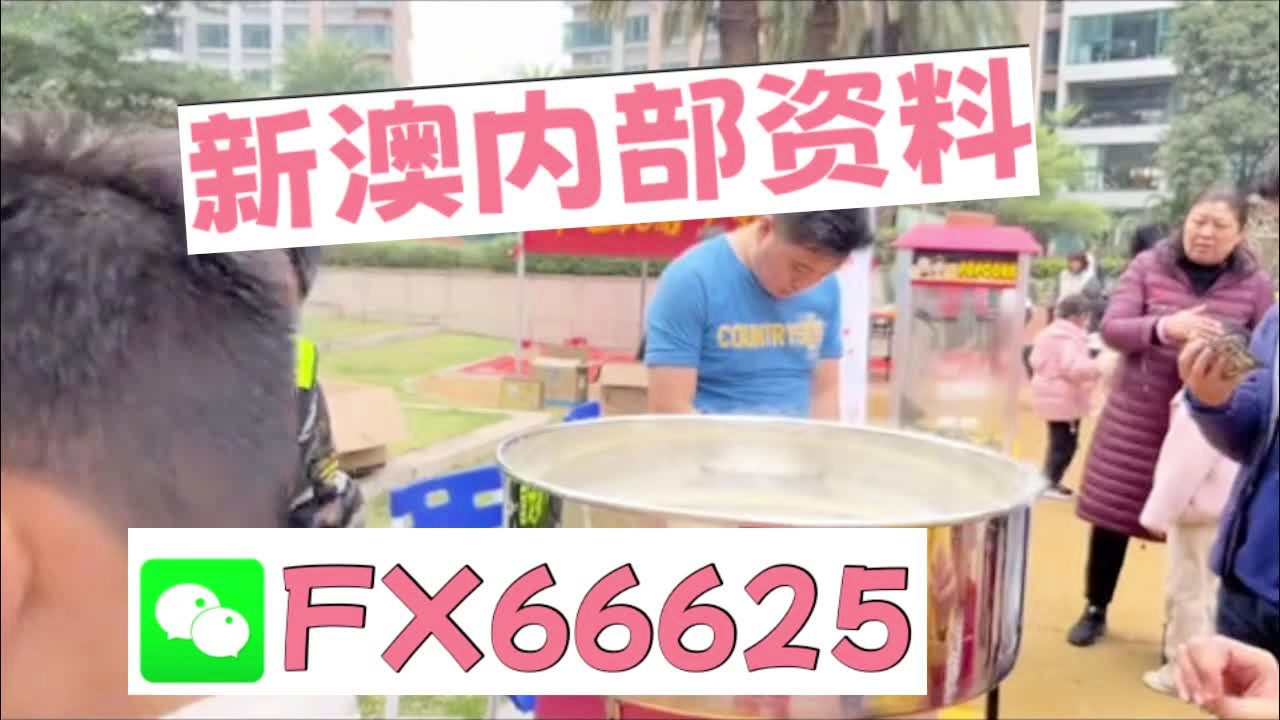 新奧2025資料大全最新版本，全面解析與深度洞察，新奧2025資料大全最新版，全面解析與深度洞察報(bào)告