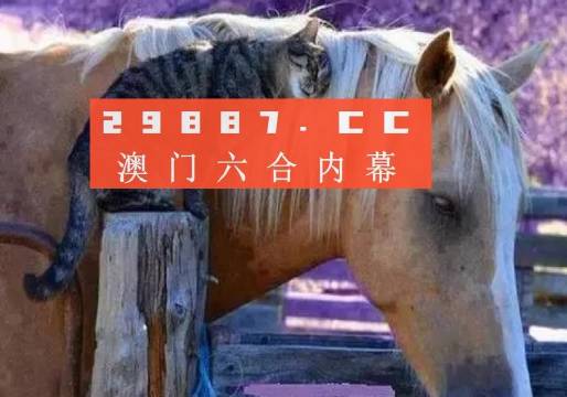澳門一肖一碼一待一中四不像，探索與解析，澳門一肖一碼一待一中四不像，深度解析與探索