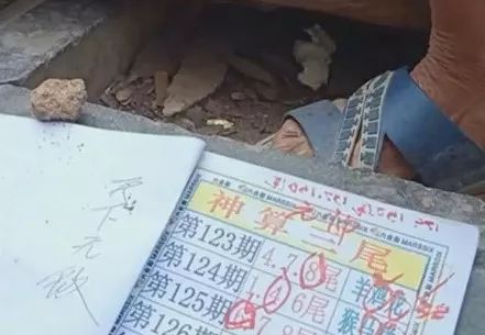 香港中特期期準(zhǔn)資料，深度解析與探索，香港中特期期準(zhǔn)資料深度解析與探索報告