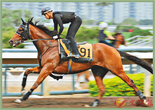 香港賽馬，探索數(shù)字背后的激情與榮耀，香港賽馬，數(shù)字背后的激情與榮耀之旅