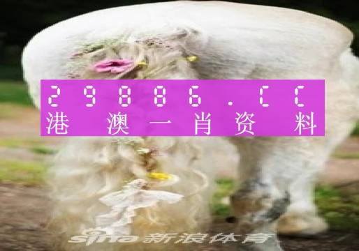澳門羊了個羊與各大圖庫的資料揭秘，2023年澳門今晚必中一肖一碼永久免費資料庫大解密，澳門羊了個羊與資料庫揭秘，2023年必中一肖一碼永久免費資料大解密