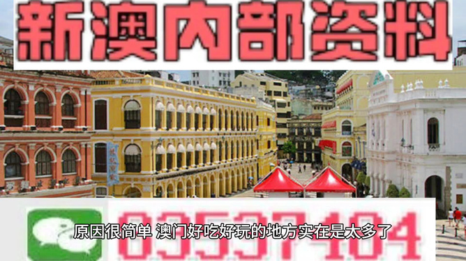 澳門精準資料大全免費，探索與解析，澳門精準資料大全免費解析探索