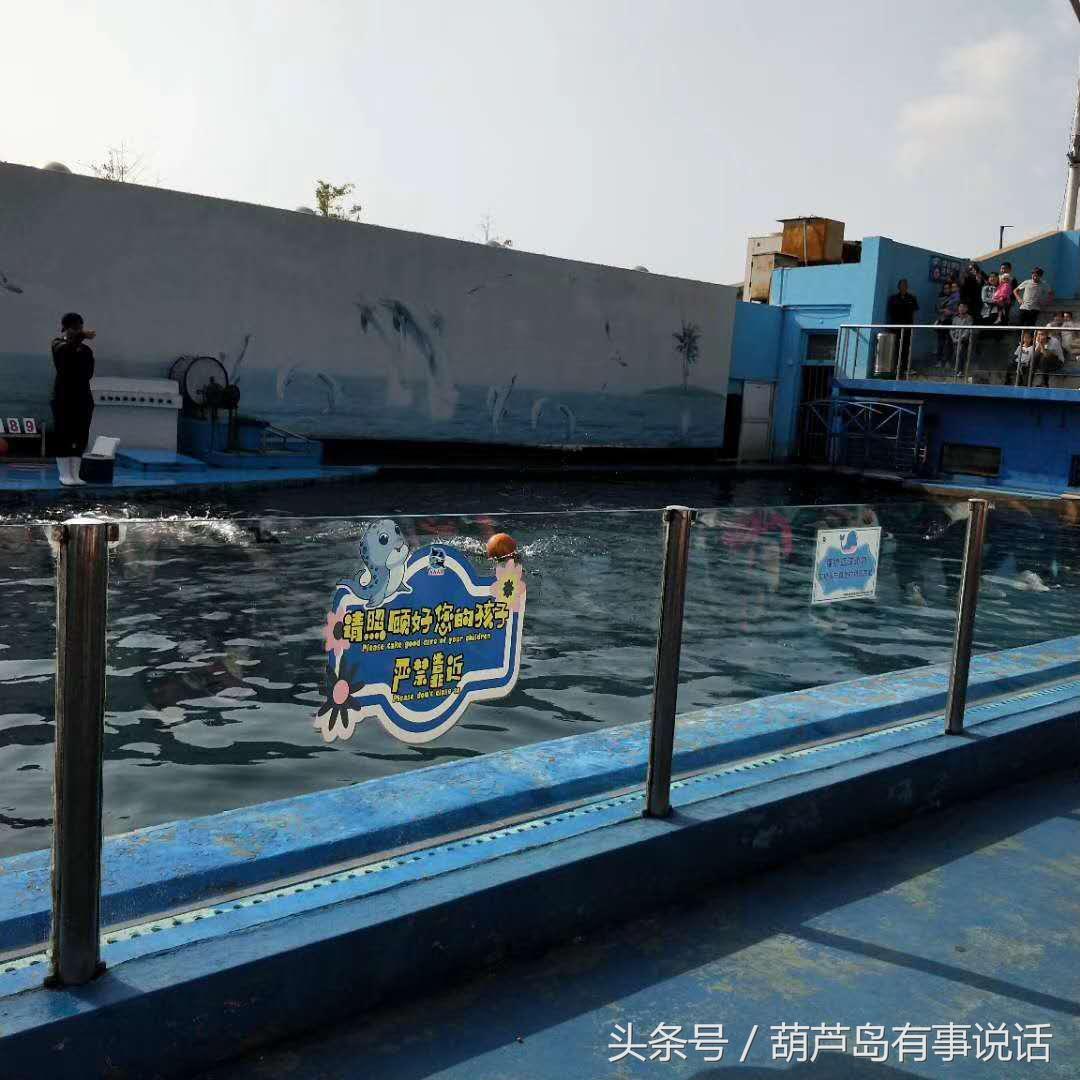 揭秘9點30分彩新澳，全方位解讀彩票新玩法，揭秘9點30分彩新澳，全方位解讀彩票新玩法攻略