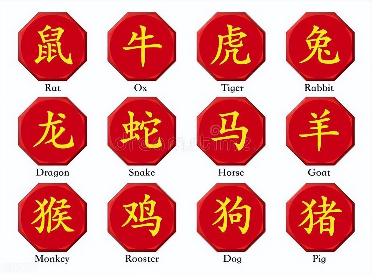 新澳特碼，羊?；⒏鲾?shù)10——揭秘背后的數(shù)字奧秘，揭秘新澳特碼數(shù)字奧秘，羊牛虎各數(shù)背后的秘密