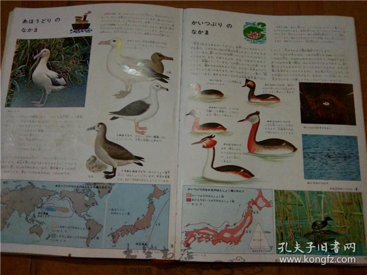 今日正版跑狗圖分享，探索7777788888跑狗圖的魅力，今日正版跑狗圖分享，探索魅力十足的777778跑狗圖