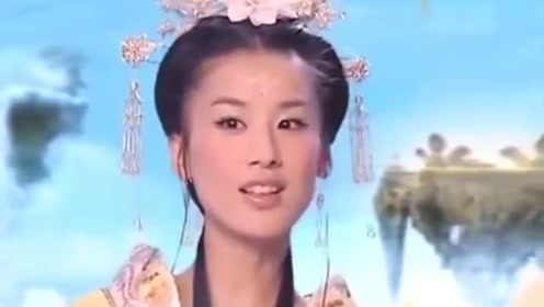 曾道道人資料免費(fèi)大全，深度探索與解析，曾道道人資料深度解析與免費(fèi)大全探索