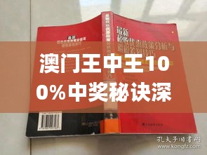 新澳門王中王期期中，探索與解析，新澳門王中王期期中，深度探索與解析