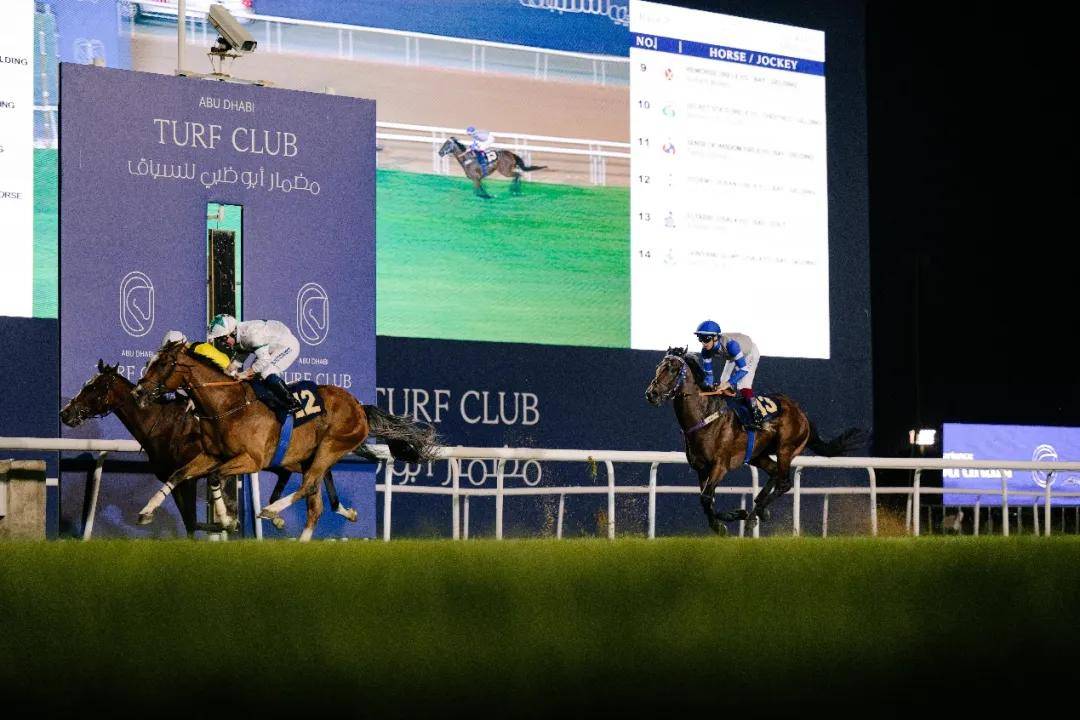 澳門特馬今晚開獎一，探索彩票背后的秘密與期待，澳門特馬今晚開獎，揭秘彩票背后的秘密與期待大獎的激動心情