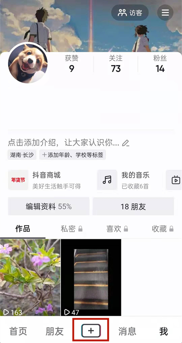白小姐的精準免費四肖，揭秘背后的秘密，揭秘白小姐精準免費四肖背后的秘密