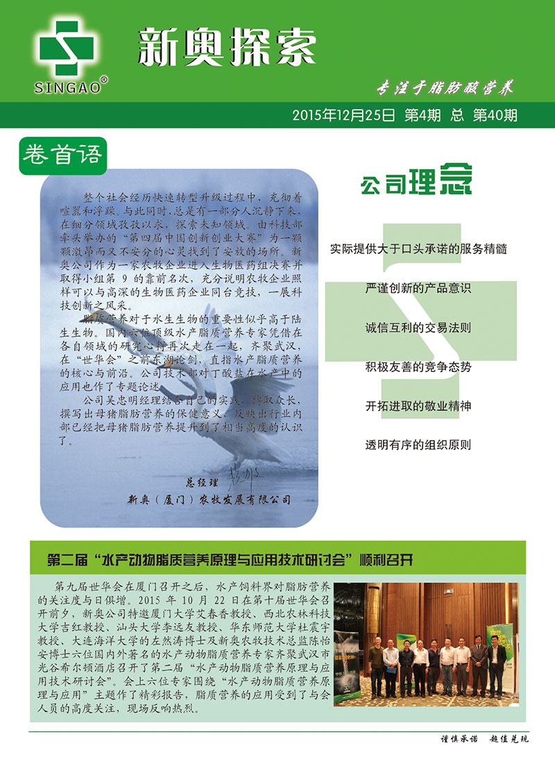 2025新澳正版資料查詢指南，2025新澳正版資料查詢手冊(cè)
