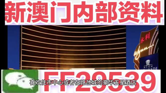 澳門彩票4949今晚開獎，探索彩票背后的故事與秘密，澳門彩票4949今晚開獎，揭開彩票背后的故事與神秘面紗