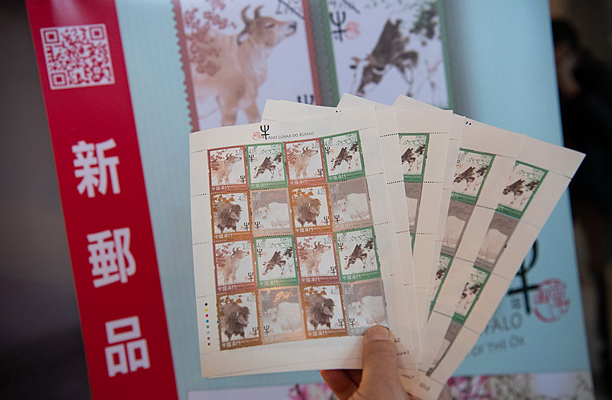 澳門(mén)值日生肖600圖庫(kù)與八百圖庫(kù)開(kāi)獎(jiǎng)，探索生肖圖庫(kù)的魅力與奧秘，澳門(mén)生肖圖庫(kù)開(kāi)獎(jiǎng)揭秘，探索值日生肖600圖庫(kù)與八百圖庫(kù)的魅力與奧秘