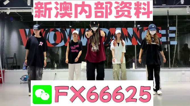 新奧資料大全正版資料，獲取權(quán)威信息的首選之地，新奧資料大全，正版權(quán)威信息首選之地