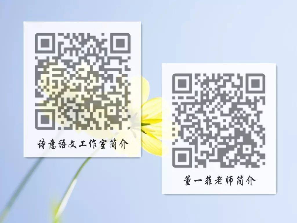 一碼一肖一特一，揭秘背后的秘密與獨特之處，揭秘一碼一肖一特一的獨特之處與背后秘密