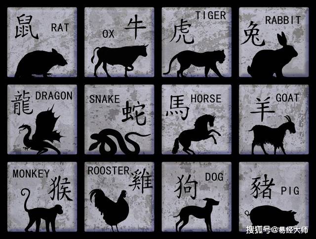 新澳特碼，羊?；⒏鲾?shù)10的獨(dú)特魅力與解析，新澳特碼，羊?；⒏鲾?shù)10的獨(dú)特魅力深度解析