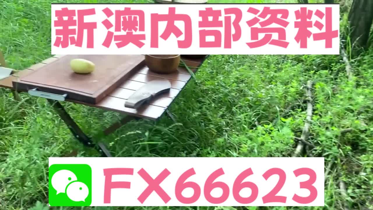 新奧特碼走勢圖解析與預(yù)測，新奧特碼走勢圖解析與預(yù)測，未來趨勢探討