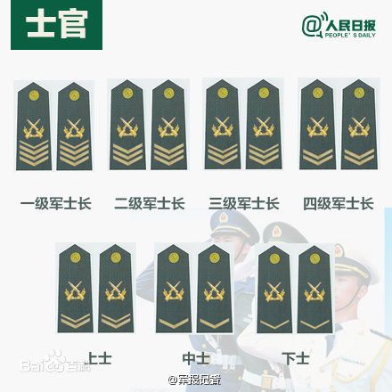 全球各國(guó)軍士長(zhǎng)軍銜對(duì)照表及其重要性，全球各國(guó)軍士長(zhǎng)軍銜對(duì)照表，揭示其重要性
