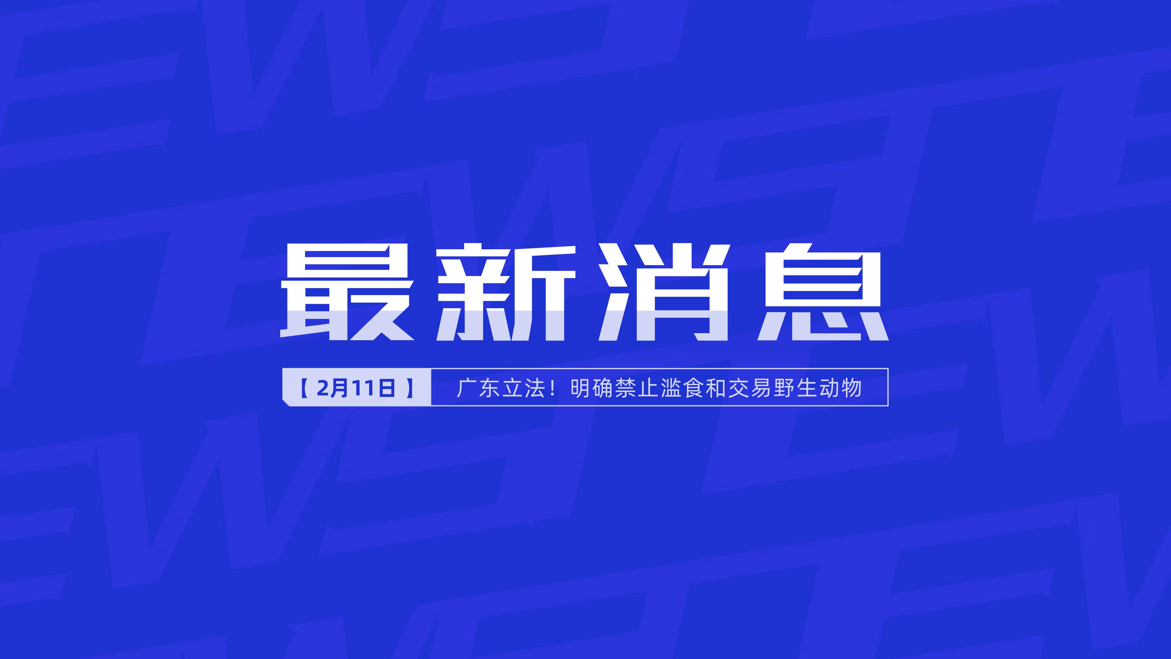 新聞最新新聞，掌握時(shí)事熱點(diǎn)，洞悉世界動(dòng)態(tài)，時(shí)事熱點(diǎn)速遞，掌握全球最新動(dòng)態(tài)新聞