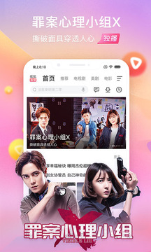 搜狐視頻，引領(lǐng)在線視頻新時代的先鋒力量，搜狐視頻，在線視頻新時代的先鋒領(lǐng)航者