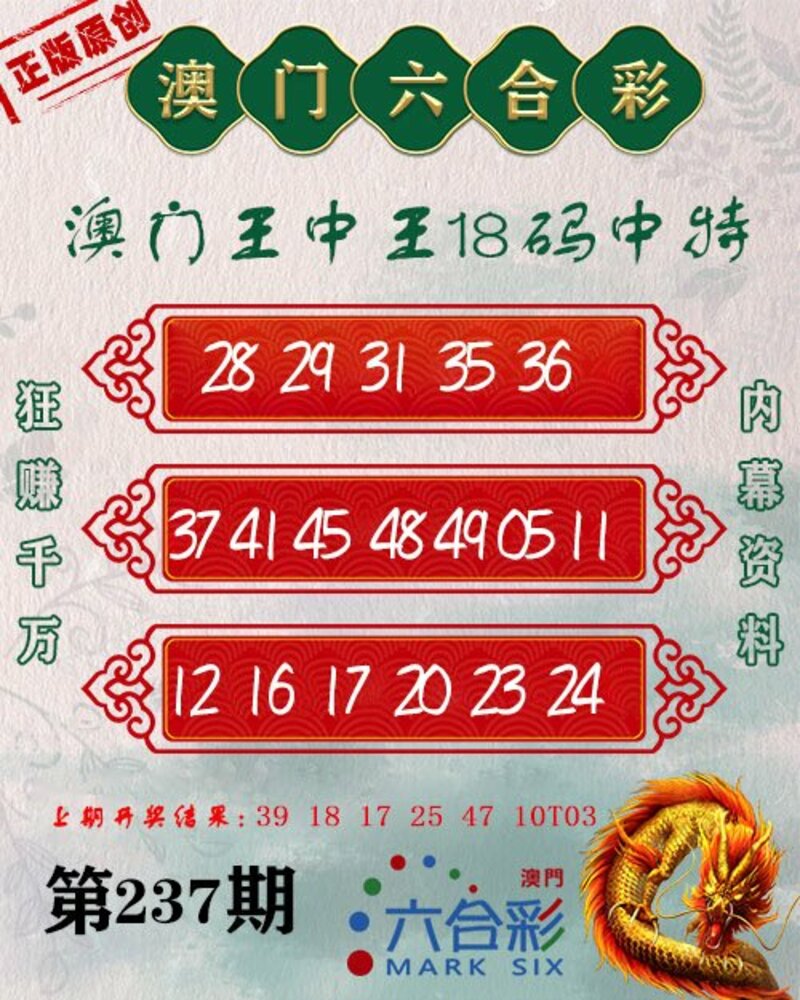 新澳門(mén)王中王期期中，探索與解析，新澳門(mén)王中王期期中，深度探索與解析