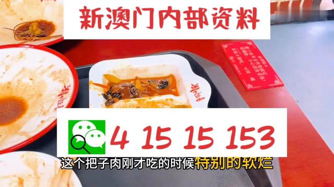 澳門(mén)王中王六碼新澳門(mén)，探索與解析，澳門(mén)王中王六碼新澳門(mén)，深度探索與解析
