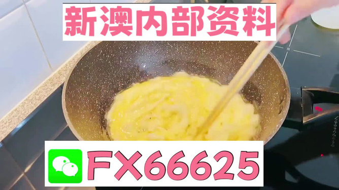 澳門九點半9點半網(wǎng)站——探索與體驗，澳門九點半網(wǎng)站，探索與體驗之旅