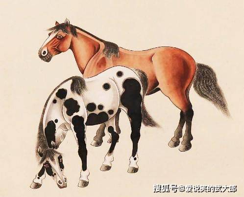 香港四不像一肖生肖圖，揭秘背后的神秘文化，香港四不像一肖生肖圖，神秘文化背后的揭秘