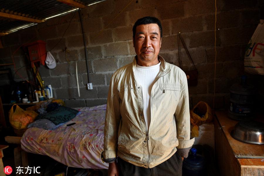 博科圣地組織，深度解析與理解，博科圣地組織深度解析與探究