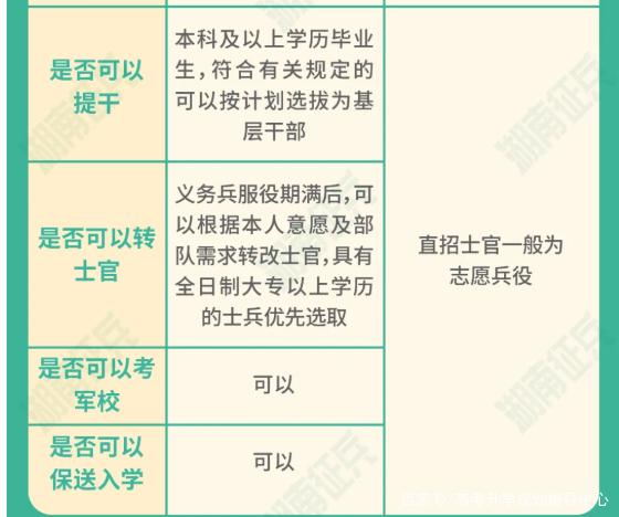士官直招與義務(wù)兵的區(qū)別，深入了解軍隊(duì)招募制度，直招士官與義務(wù)兵招募制度深度解析，軍隊(duì)招募制度詳解