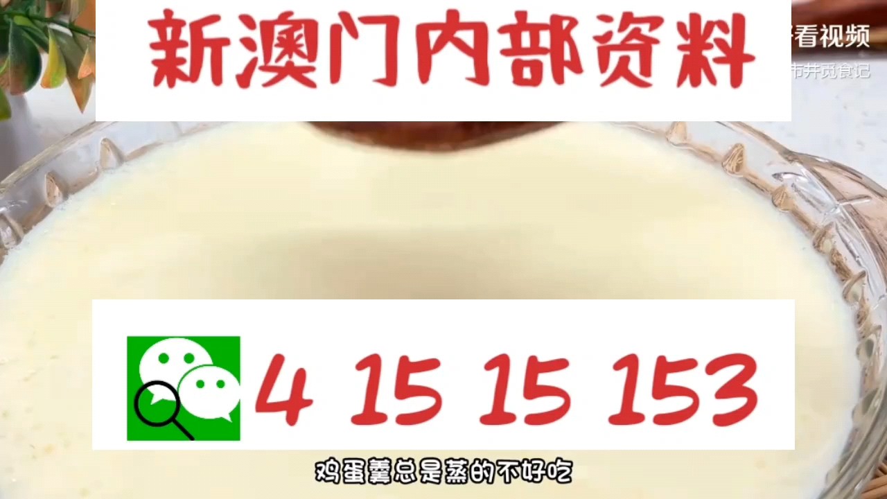 新澳門中特網(wǎng)中特馬，探索與解析，澳門中特馬探索與解析指南