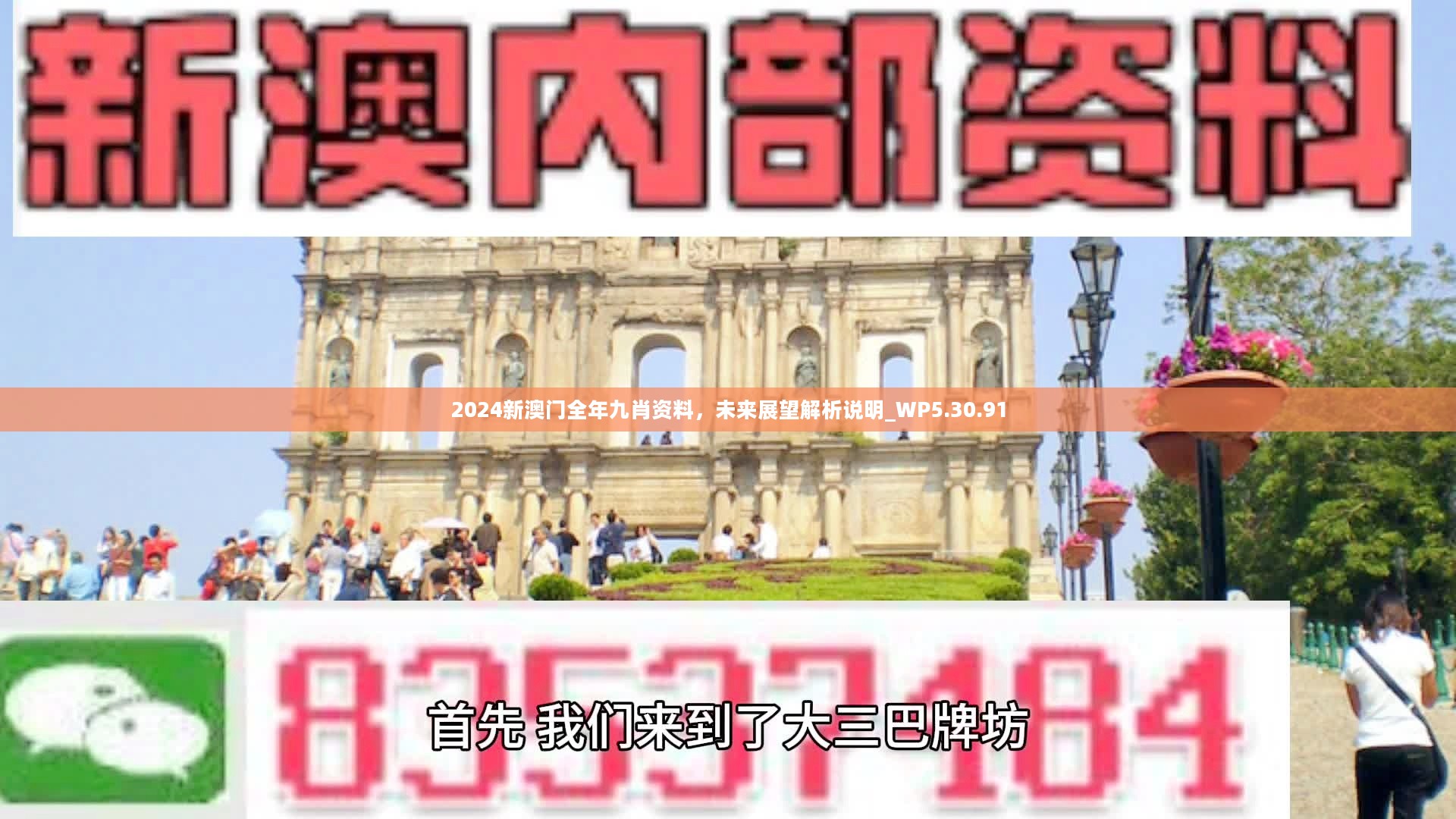 新澳門精準(zhǔn)九肖，揭秘預(yù)測(cè)技巧與策略，揭秘新澳門精準(zhǔn)九肖預(yù)測(cè)技巧與策略