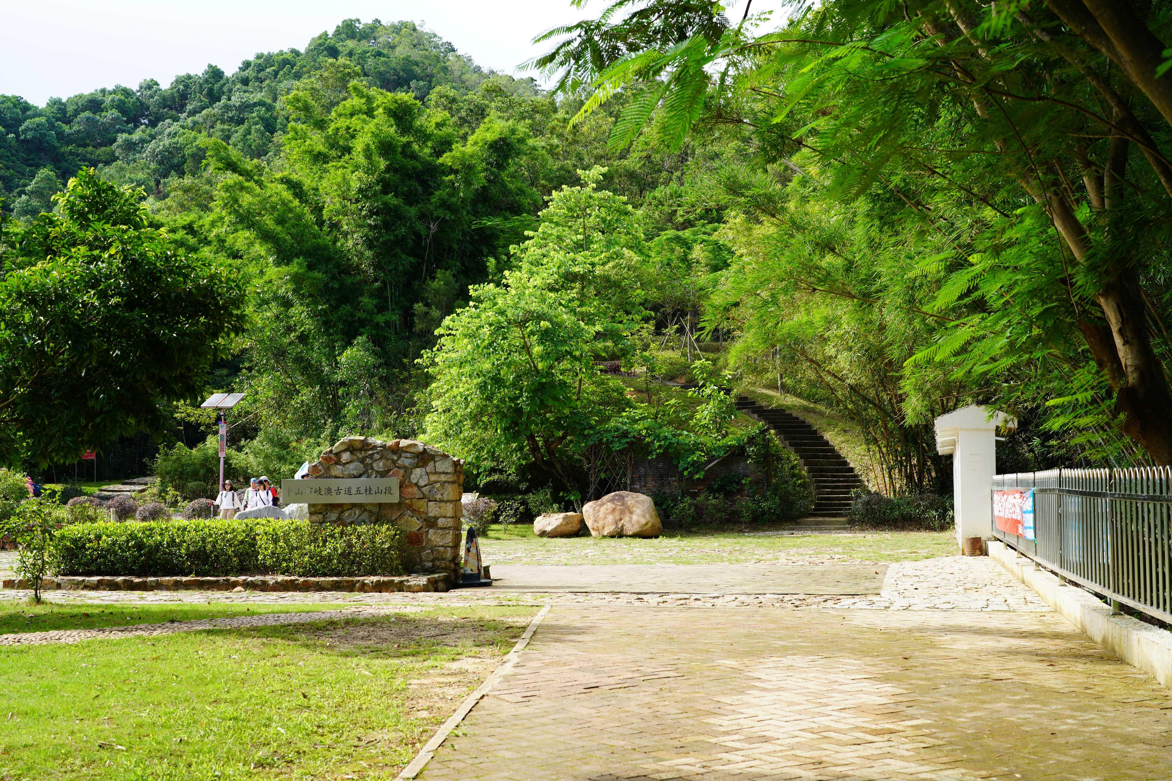 新澳門波色走勢(shì)圖表大全，深度解析與預(yù)測(cè)，澳門波色走勢(shì)圖表解析與預(yù)測(cè)大全