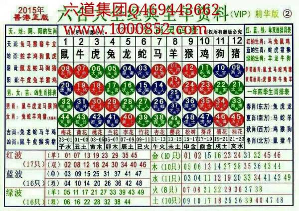 揭秘2024十二生肖49碼表——完整指南，揭秘十二生肖49碼表全攻略，2024年最新版指南