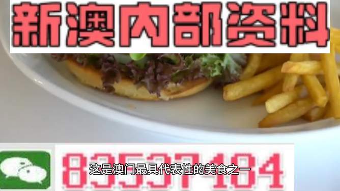 新澳2024生肖最新資料解析與預(yù)測(cè)，新澳2024生肖解析與預(yù)測(cè)報(bào)告