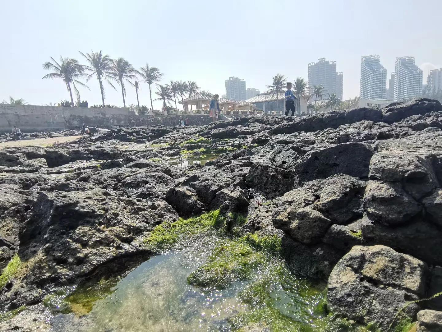 解放海南島電視劇全集下載，探尋30集完整劇情，解放海南島電視劇全集下載，探尋完整的30集劇情探索