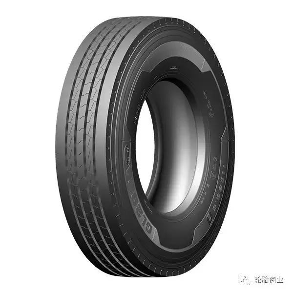 王中王295期指一生肖，揭秘生肖運勢與預測背后的秘密，揭秘生肖運勢預測，王中王295期生肖運勢背后的秘密探索