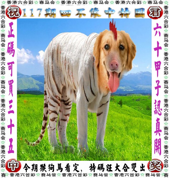 王中王四不像一肖論壇，探索神秘論壇的世界，王中王四不像一肖論壇，神秘論壇世界的探索之旅