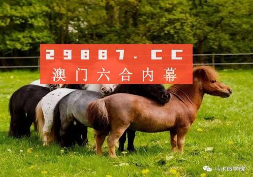 王中王四不像正版一肖中特圖，揭秘背后的秘密與獨(dú)特魅力，揭秘王中王四不像正版一肖中特圖的獨(dú)特魅力和背后秘密