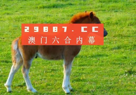 澳門答家婆一肖一馬一中一特，揭秘背后的秘密與獨特文化魅力，澳門文化魅力深度解析，答家婆一肖一馬一中一特的獨特傳統(tǒng)與秘密