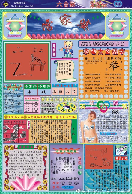 王中王四不像必出一肖圖——揭秘彩票背后的秘密，揭秘彩票背后的秘密，王中王四不像必出一肖圖的真相探索