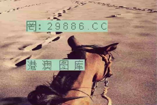 香港特馬資料王中王24期，深度解析與探索，香港特馬資料王中王深度解析與探索，第24期探索之旅