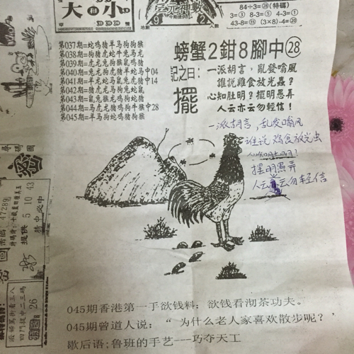 揭秘林中的高手王中王猜一肖的奧秘，揭秘林中之王王中王與生肖奧秘探秘
