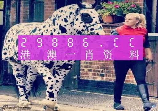 香港網(wǎng)址王中王一肖中特，探索與解析，香港網(wǎng)址王中王一肖中特，深度探索與解析