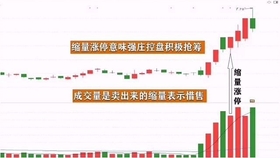 王中王一肖平碼，揭秘背后的故事與SEO策略，王中王一肖平碼背后的故事與SEO策略揭秘