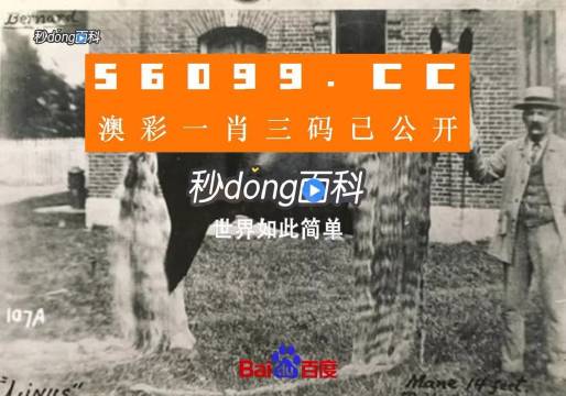 澳門王中王心水王中王，探索與解析，澳門王中王心水奧秘，深度探索與解析