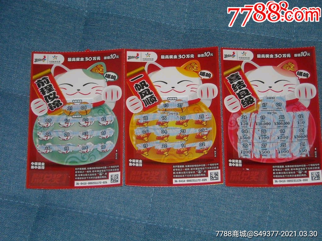 揭秘王中王資料一肖中特y招財貓，真相與秘密，揭秘王中王資料與招財貓，真相與秘密探索