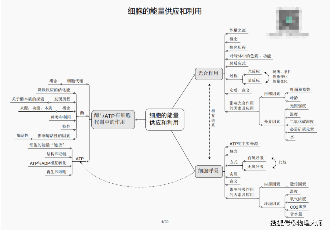 揭秘劉伯溫四肖三期內(nèi)必出一，神秘預(yù)言背后的真相，劉伯溫四肖三期預(yù)言真相揭秘，神秘預(yù)言背后的必然與偶然