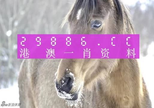 澳門一肖一碼背后的故事，一個關(guān)于精準(zhǔn)預(yù)測與傳奇的揭秘，澳門一肖一碼傳奇背后的精準(zhǔn)預(yù)測與揭秘之旅