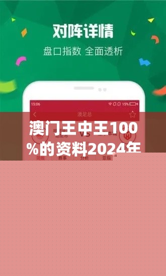 王中王網(wǎng)站一肖，探索與SEO優(yōu)化策略，王中王網(wǎng)站一肖，深度探索與SEO優(yōu)化策略實(shí)踐